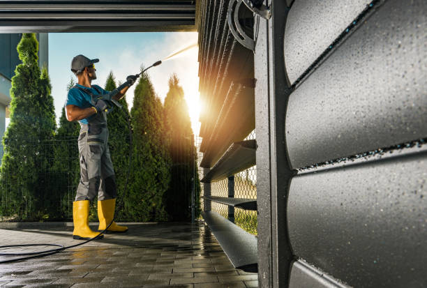 Best Roof Pressure Washing  in Greenville, KY