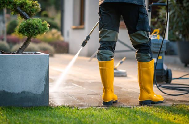 Best Best Pressure Washing Companies  in Greenville, KY